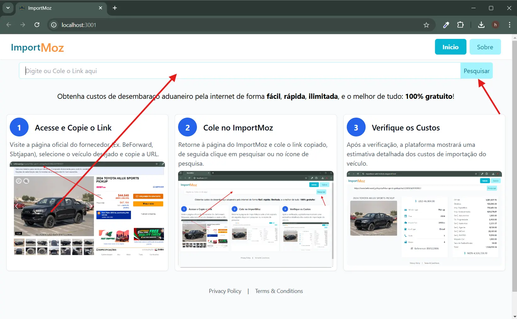 Passo 2: Cole no ImportMoz
